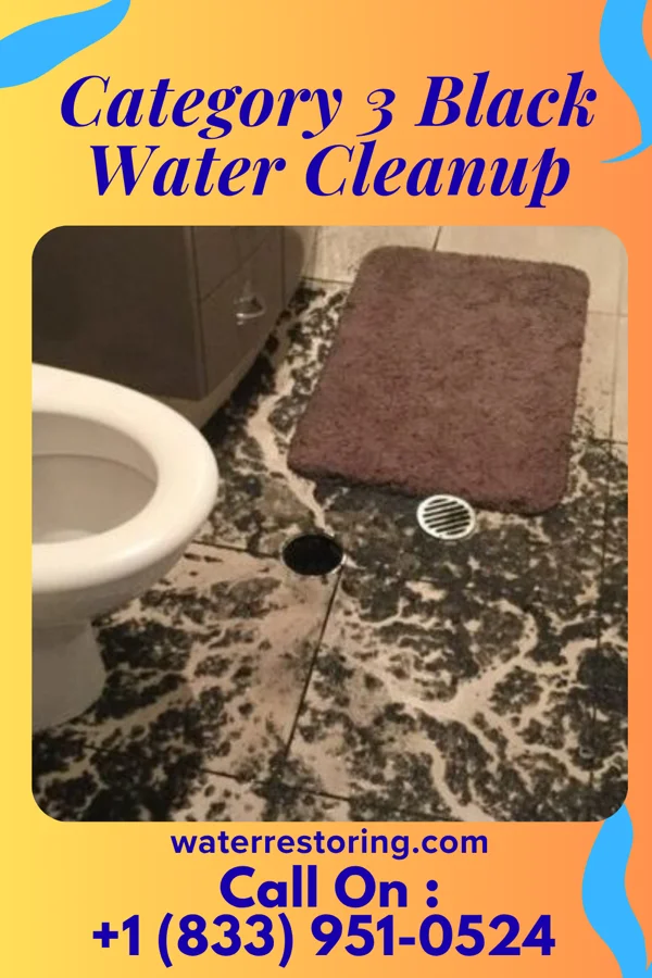 Category 3 Black Water Cleanup in Turpin Hills, OH