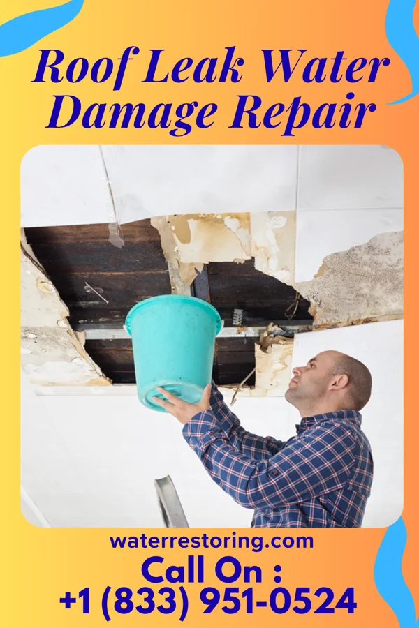Roof Leak Water Damage Repair in Turpin Hills, OH