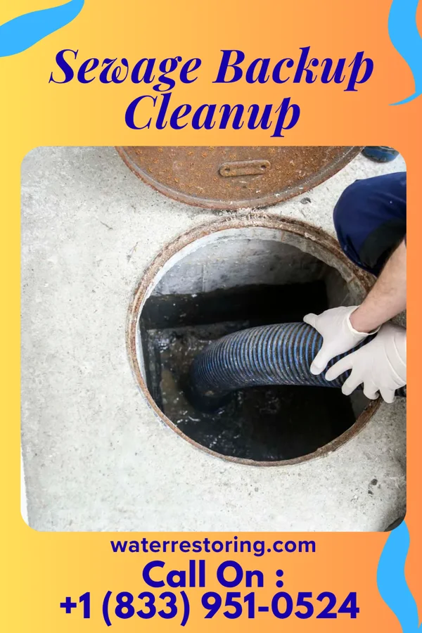 Sewage Backup Cleanup in Turpin Hills, OH